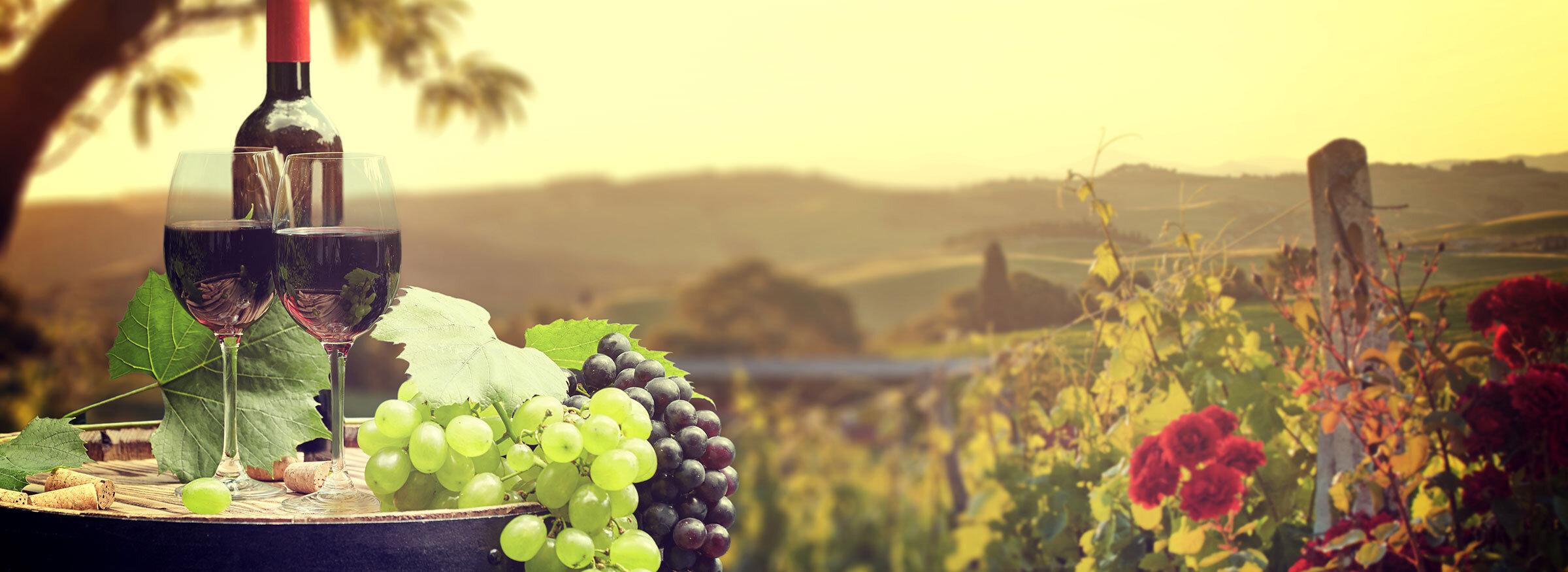 Slide Rotwein mit Reben