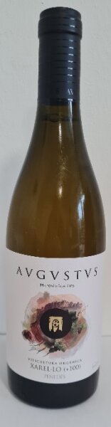 Avgvstvs Xarel.lo +100